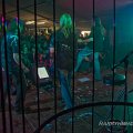 Hard Rockin Porn Stars (170)